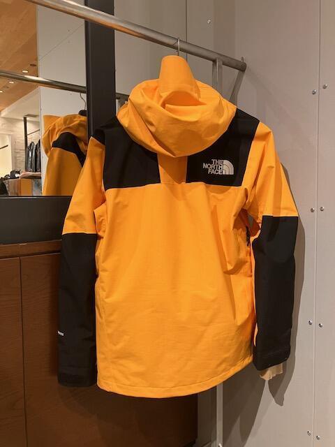NORTH FACE2.jpeg