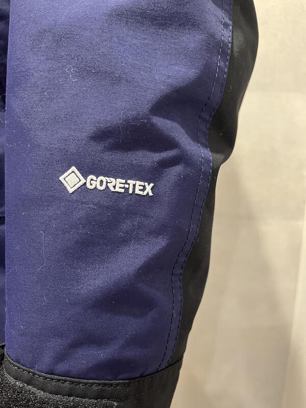 THE NORTH FACE ダウン