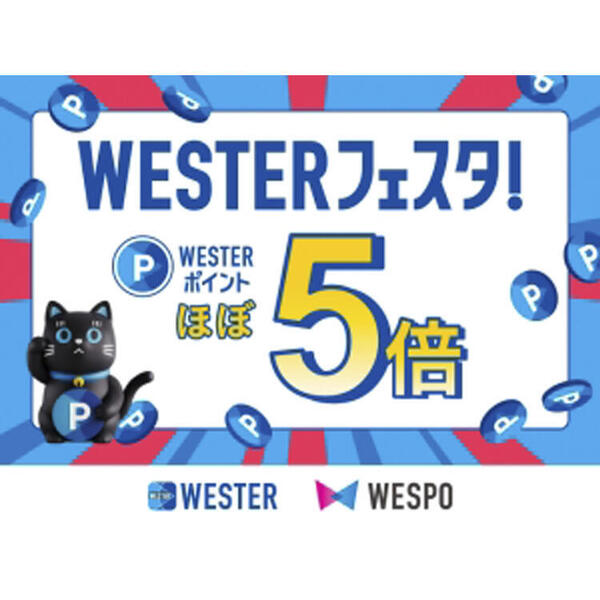 wester_hp_0804-300x225.jpgのサムネイル画像