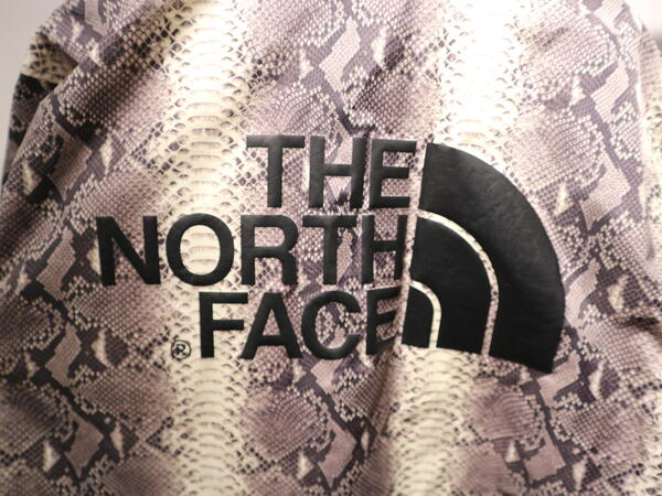 Supreme JUNYA WATANABE UNDER COVER NORTH FACE.JPG