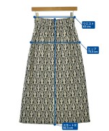 Ray Beams（レイビームス）ロング・マキシ丈スカート 白 サイズ:0(XS位) レディース/2200671182038