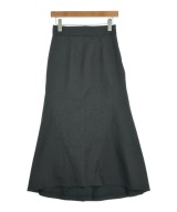 JILLSTUART（ジルスチュアート）ロング・マキシ丈スカート グレー サイズ:2(M位) レディース/2200622228044