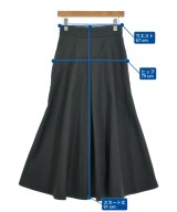 JILLSTUART（ジルスチュアート）ロング・マキシ丈スカート グレー サイズ:2(M位) レディース/2200622228044