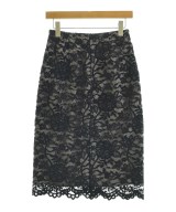 STRAWBERRY Fields（ストロベリーフィールズ）ロング・マキシ丈スカート 黒 サイズ:-(S位) レディース/2200663087099