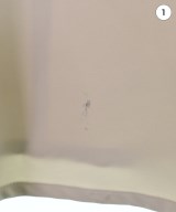 PAGE BOY（ページボーイ）ロング・マキシ丈スカート ベージュ サイズ:F レディース/2200619096014