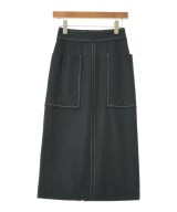 DRESSTERIOR ロング・マキシ丈スカート