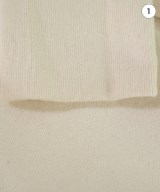 DRESSTERIOR（ドレステリア）ワンピース 白 サイズ:38(M位) レディース/2200634926020