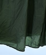 DRESSTERIOR（ドレステリア）ワンピース 緑 サイズ:38(M位) レディース/2200643692046