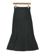 DRESSTERIOR ロング・マキシ丈スカート