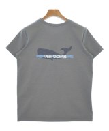 DRESSTERIOR（ドレステリア）Tシャツ・カットソー グレー サイズ:38(M位) レディース/2200617674122