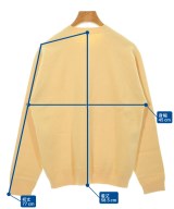 DRESSTERIOR（ドレステリア）ニット・セーター 黄 サイズ:36(S位) レディース/2200619594039