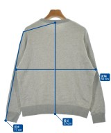 DRESSTERIOR（ドレステリア）スウェット グレー サイズ:38(M位) レディース/2200606659024