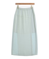 DRESSTERIOR ロング・マキシ丈スカート