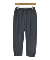 DRESSTERIOR パンツ(その他)
