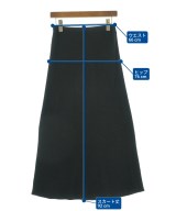 DRESSTERIOR（ドレステリア）ロング・マキシ丈スカート 黒 サイズ:36(S位) レディース/2200606780018