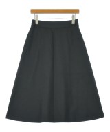 DRESSTERIOR ロング・マキシ丈スカート