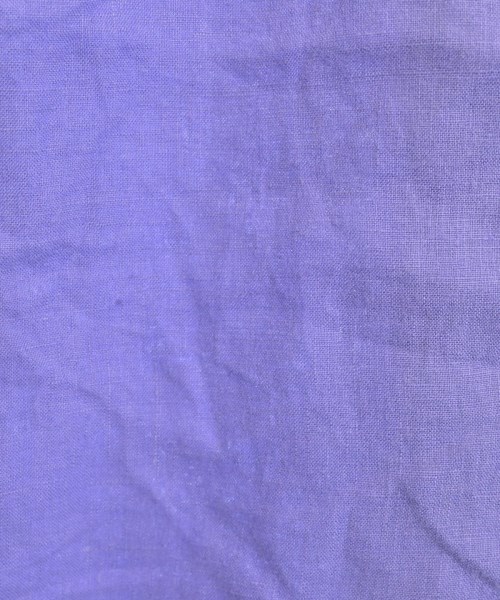 DRESSTERIOR（ドレステリア）ワンピース 紫 サイズ:38(M位) レディース/2200672680045