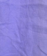 DRESSTERIOR（ドレステリア）ワンピース 紫 サイズ:38(M位) レディース/2200672680045