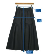 DRESSTERIOR（ドレステリア）ロング・マキシ丈スカート 黒 サイズ:36(s位) レディース/2200693609049