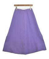 DRESSTERIOR ロング・マキシ丈スカート