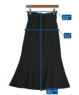 DRESSTERIOR（ドレステリア）ロング・マキシ丈スカート 黒 サイズ:34(XS位) レディース/2200697735034