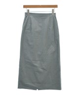 DRESSTERIOR（ドレステリア）ロング・マキシ丈スカート グレー サイズ:36(S位) レディース/2200695437107