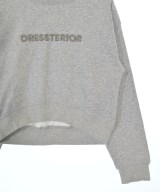 DRESSTERIOR（ドレステリア）スウェット グレー サイズ:36(S位) レディース/2200659930033