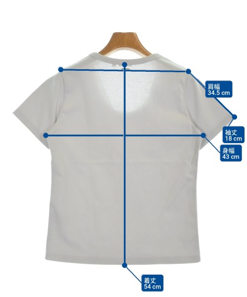 DRESSTERIOR（ドレステリア）Tシャツ・カットソー グレー サイズ:36(S位) レディース/2200711414037