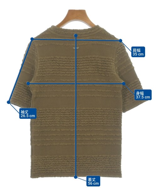 DRESSTERIOR（ドレステリア）Tシャツ・カットソー 茶 サイズ:34(XS位) レディース/2200715876039