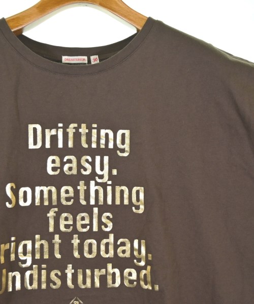 DRESSTERIOR（ドレステリア）Tシャツ・カットソー 茶 サイズ:36(S位) レディース/2200715902028
