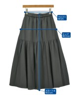 DRESSTERIOR（ドレステリア）ロング・マキシ丈スカート グレー サイズ:36(S位) レディース/2200716640073