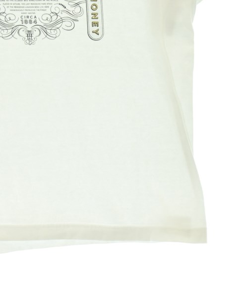 DRESSTERIOR（ドレステリア）Tシャツ・カットソー 白 サイズ:34(XS位) レディース/2200713402025