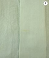 DRESSTERIOR（ドレステリア）カジュアルシャツ 緑 サイズ:38(M位) レディース/2200645147124