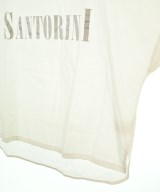 DRESSTERIOR（ドレステリア）Tシャツ・カットソー 白 サイズ:38(M位) レディース/2200645147254