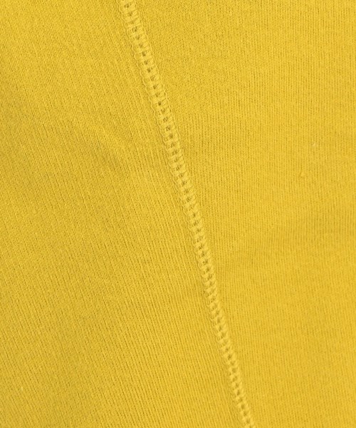DRESSTERIOR（ドレステリア）スウェット 黄 サイズ:40(M位) レディース/2200641204241