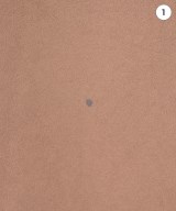 DRESSTERIOR（ドレステリア）ロング・マキシ丈スカート 茶 サイズ:38(M位) レディース/2200643666047