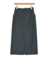 DRESSTERIOR（ドレステリア）ロング・マキシ丈スカート 黒 サイズ:36(S位) レディース/2200643666054