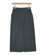 DRESSTERIOR ロング・マキシ丈スカート