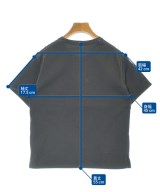 DRESSTERIOR（ドレステリア）Tシャツ・カットソー 黒 サイズ:36(S位) レディース/2200653859057