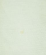DRESSTERIOR（ドレステリア）Tシャツ・カットソー 白 サイズ:34(XS位) レディース/2200706313031