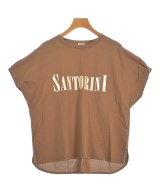 DRESSTERIOR（ドレステリア）Tシャツ・カットソー 茶 サイズ:36(S位) レディース/2200660531106
