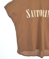 DRESSTERIOR（ドレステリア）Tシャツ・カットソー 茶 サイズ:36(S位) レディース/2200660531106