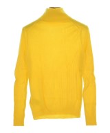 DRESSTERIOR（ドレステリア）ニット・セーター 黄 サイズ:38(M位) レディース/2200667901063