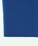 DRESSTERIOR（ドレステリア）その他 青 サイズ:30(XXS位) レディース/2200731824021