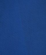 DRESSTERIOR（ドレステリア）その他 青 サイズ:30(XXS位) レディース/2200731824021