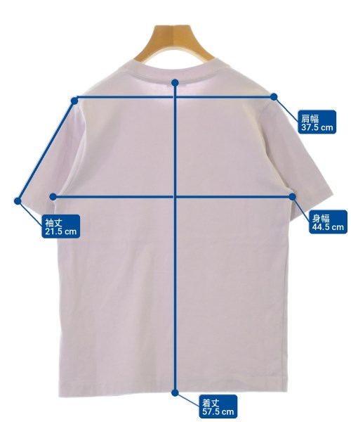 DRESSTERIOR（ドレステリア）Tシャツ・カットソー 紫 サイズ:36(S位) レディース/2200715752036
