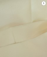DRESSTERIOR（ドレステリア）その他 白 サイズ:40(M位) レディース/2200721110349
