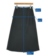 DRESSTERIOR（ドレステリア）ロング・マキシ丈スカート 黒 サイズ:36(S位) レディース/2200678810026