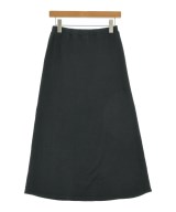 DRESSTERIOR ロング・マキシ丈スカート