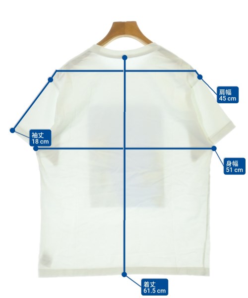 DRESSTERIOR（ドレステリア）Tシャツ・カットソー 白 サイズ:36(S位) レディース/2200680045218